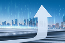 DDpay钱包国际2024上半年营收同比增逾16% ，国内业务成增长亮点